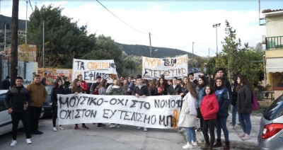 Aπό παλαιότερη κινητοποίηση για το ζήτημα της στέγασης του Μουσικού Σχολείου Μυτιλήνης 