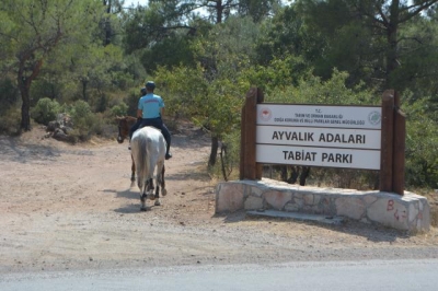 Τρόμος κι αγανάκτηση απ τις πυρκαγιές και τον καύσωνα