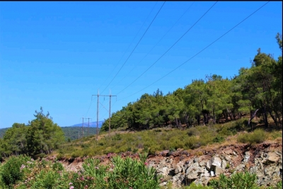 Καθαρισμός &amp; δημιουργία αντιπυρικών ζωνών σε Καμένο Δάσος και στα υπόλοιπα νησιά