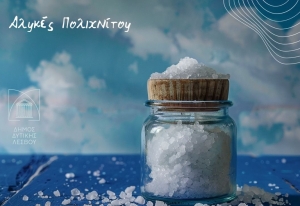 «Εξερευνώντας τις Αλυκές Πολιχνίτου και αξιοποιώντας την κληρονομιά τους»