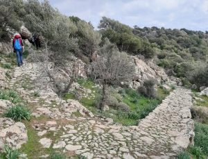 Πρόταση χρηματοδότησης πεζοπορικών διαδρομών μήκους 250km στο Δήμο Δυτικής Λέσβου