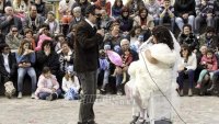 Με σάτιρα και νηστίσιμα και στο Μόλυβο