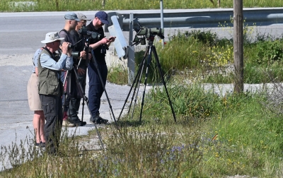 Ξένοι παρατηρητές πουλιών στις Αλυκές Καλλονής 