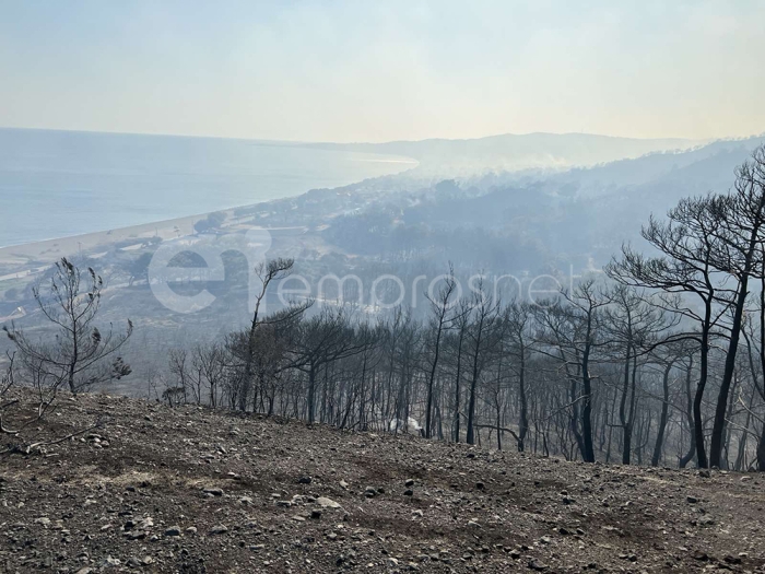 «Δήμαρχε η συκοφαντία και η παραπληροφόρηση δεν λύνουν τα προβλήματα»