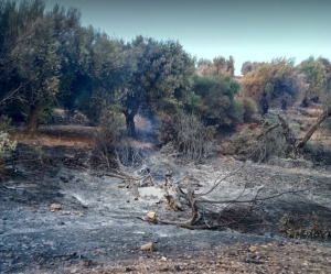 Τα απομεινάρια της πυρκαγιάς της 23ης Ιουλίου 2022