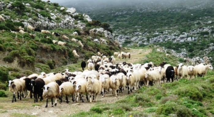 Η κατανομή των επιδοτήσεων ανά χώρα για την επταετία 2021-2027