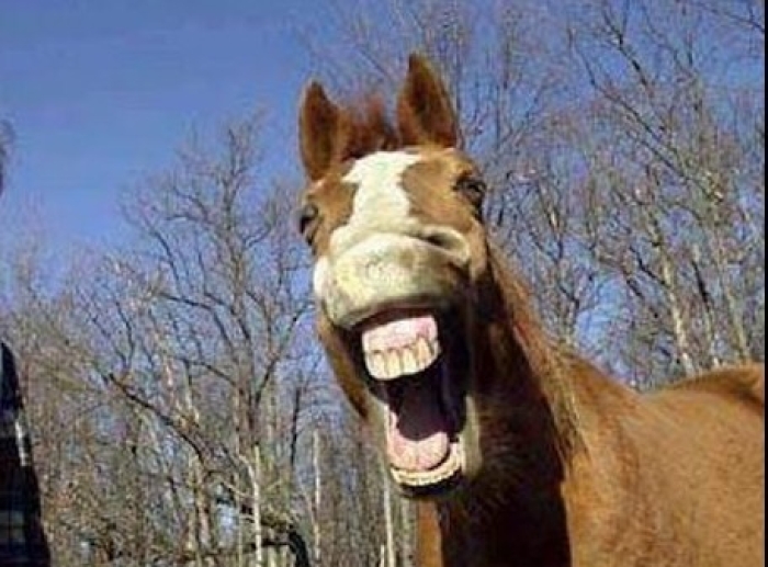 Περί παραδόσεως