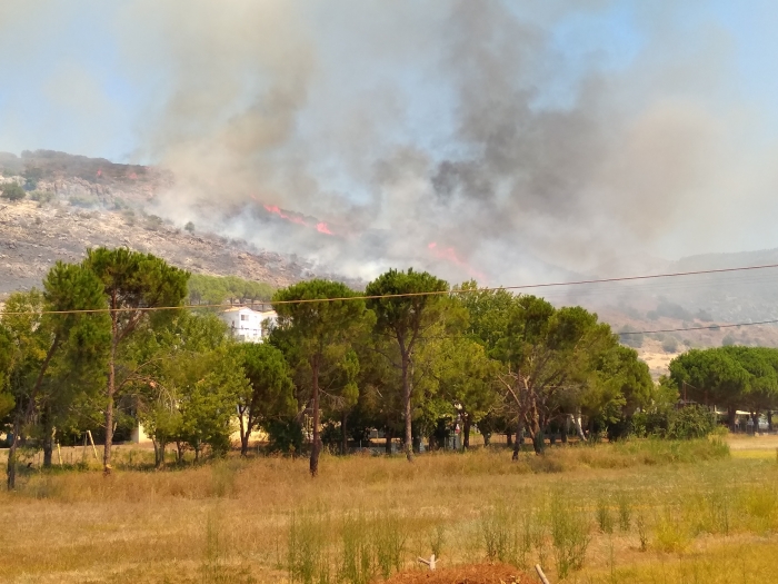 Συνεχίζεται η φωτιά στην Πέτρα