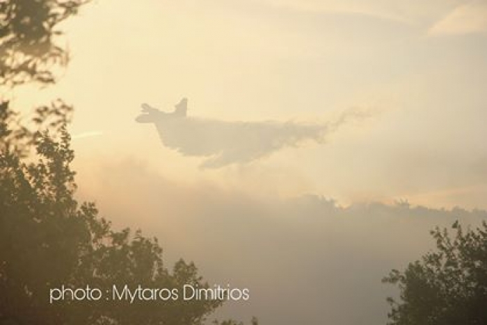 Υπό έλεγχο η πυρκαγιά- Εμπρησμός μεταξύ Γέρας και Πλωμαρίου (pics)