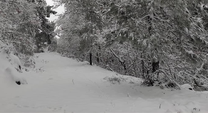 Χειμερινές διακοπές στα σχολεία προσδοκίες στα χιονοδρομικά κέντρα