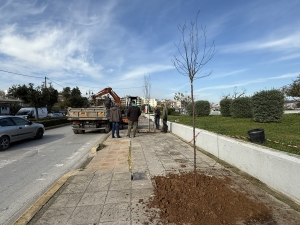 Στιγμιότυπο από την δενδροφύτευση