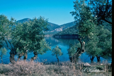 Όπου φτωχός κι η μοίρα του!