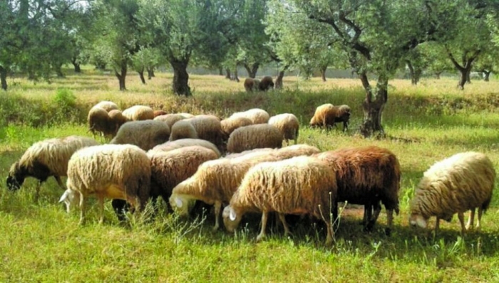 Με τέλος επιτηδεύματος οι φετινές φορολογικές δηλώσεις αγροτών