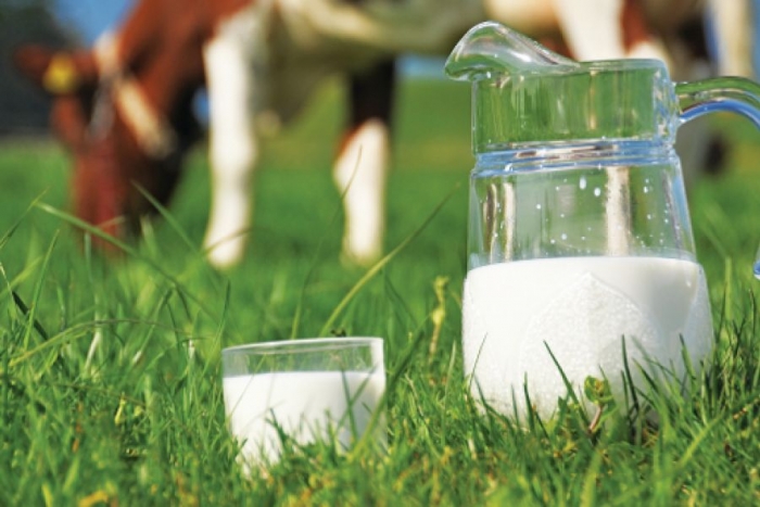 Ερώτηση για τις πτωτικές τιμές γάλακτος