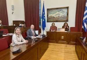 Στιγμιότυπο από την συνεδρίαση της επιτροπής