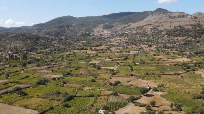 Δημόσια διαδικτυακή συζήτηση με θέμα την ανύπαρκτη αγροτική εκπαίδευση