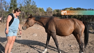 Ιππικός Όμιλος «Ippos Horse Ridind and Excursions» [Vid]