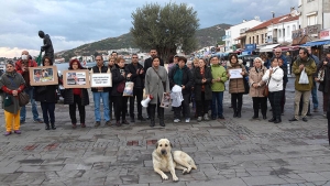 Ενδιαφέρον από φιλόζωους σ όλη τη Τουρκία