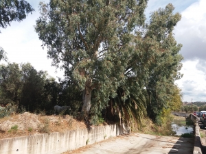 «Ραβασάκι» Ροδίτη σε Μουτζούρη και Βέρρο
