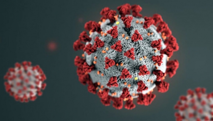 7 κρούσματα στη Λέσβο