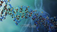 Η σχιζοφρένεια και η χρήση κάνναβης «μοιράζονται» κοινά γονίδια