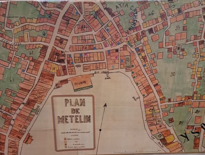 «Γιορτάζουμε την Παγκόσμια Ημέρα Ελαιόδεντρου»