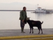 Φωτοσχόλιο 10/11/2017