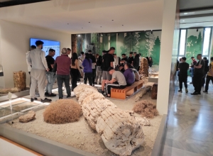 Από την επίσκεψη των μαθητών του Βροντάδου Χίου στο Μουσείο Φυσικής Ιστορίας του Απολιθωμένου Δάσους Λέσβου 
