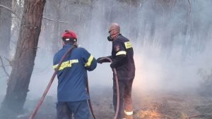 Πυροσβέστες και εθελοντές στην μάχη με τις φλόγες 