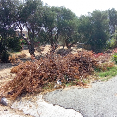 Φωτοσχόλιο 02-09-23