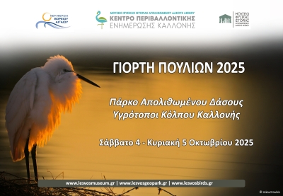Γιορτάζοντας την φθινοπωρινή μετανάστευση πουλιών