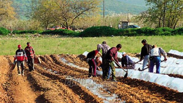 48ωρη απεργία στην ΕΑΣ Λέσβου