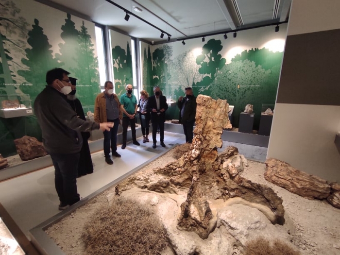 Επίσκεψη αντιπροσωπείας της DIGEA στο Μουσείο Φυσικής Ιστορίας Απολιθωμένου Δάσους