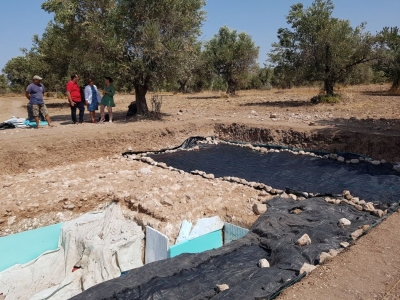 Το αρχαιολογικό σκάμμα κλείνει για να δώσει τη θέση του στην ελαιοκομική περίοδο που σε λίγες εβδομάδες αρχίζει