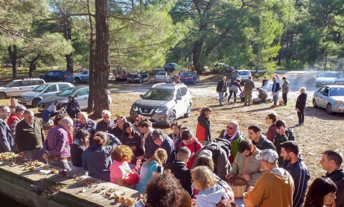 Επιτυχημένη η γιορτή των Μανιταριών 2019