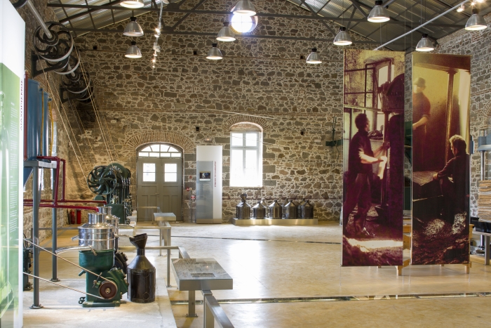 «Μουσεία για την εκπαίδευση και την έρευνα»