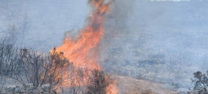 Νομοθετική ρύθμιση για τις καύσεις χορτολιβαδικών εκτάσεων προτείνει ο Κουφέλος