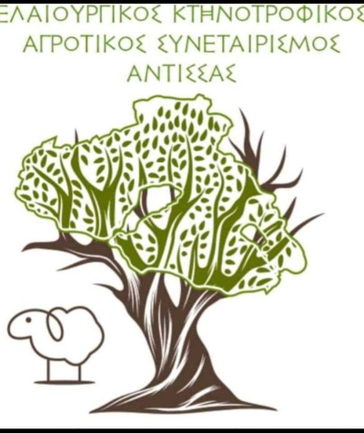 Αγροτικός Συνεταιρισμός Άντισσας