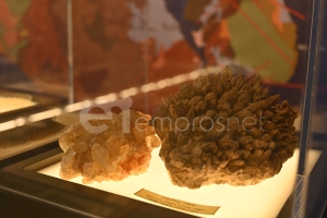 ΧΡΙΣΤΟΥΓΕΝΝΑ  στο Μουσείο Φυσικής Ιστορίας Απολιθωμένο Δάσος Λέσβου
