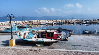 Πρόσκληση σε αλιείς για απόσυρση της βιντζότρατας