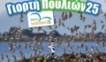 Παρατήρηση πουλιών στην Αλυκή Καλλονής με τον ΟΦΥΠΕΚΑ