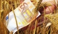 ΥπΑΑΤ: Σήμερα στους λογαριασμούς των αγροτών η προκαταβολή της ενιαίας