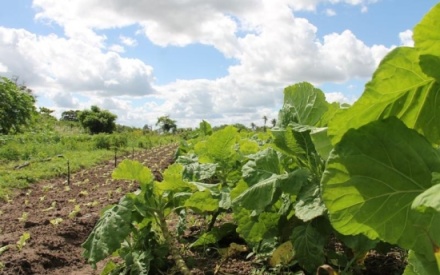 Έρχονται ριζικές αλλαγές στα βιολογικά
