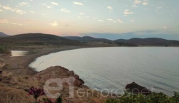 Με περιοριστικά μέτρα και με «λειψούς» στρατιωτικούς κτηνιάτρους η Λήμνος