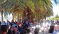 Φωτοσχόλιο 7-6-2025