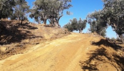 Αγροτική οδοποιία σε Ευεργέτουλα