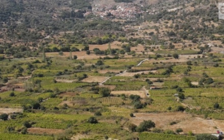 5η Συνάντηση Φιλίας & Επικοινωνίας στην Ανεμώτια