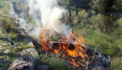 Καθαρισμός οικοπέδων και ακάλυπτων χώρων έως 30 Απρίλη