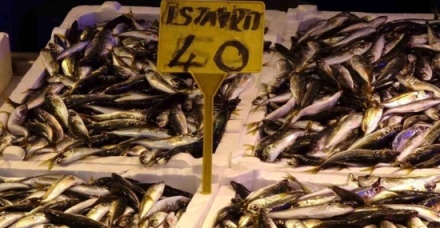 Αφθονία ψαριών στη Μαύρη Θάλασσα